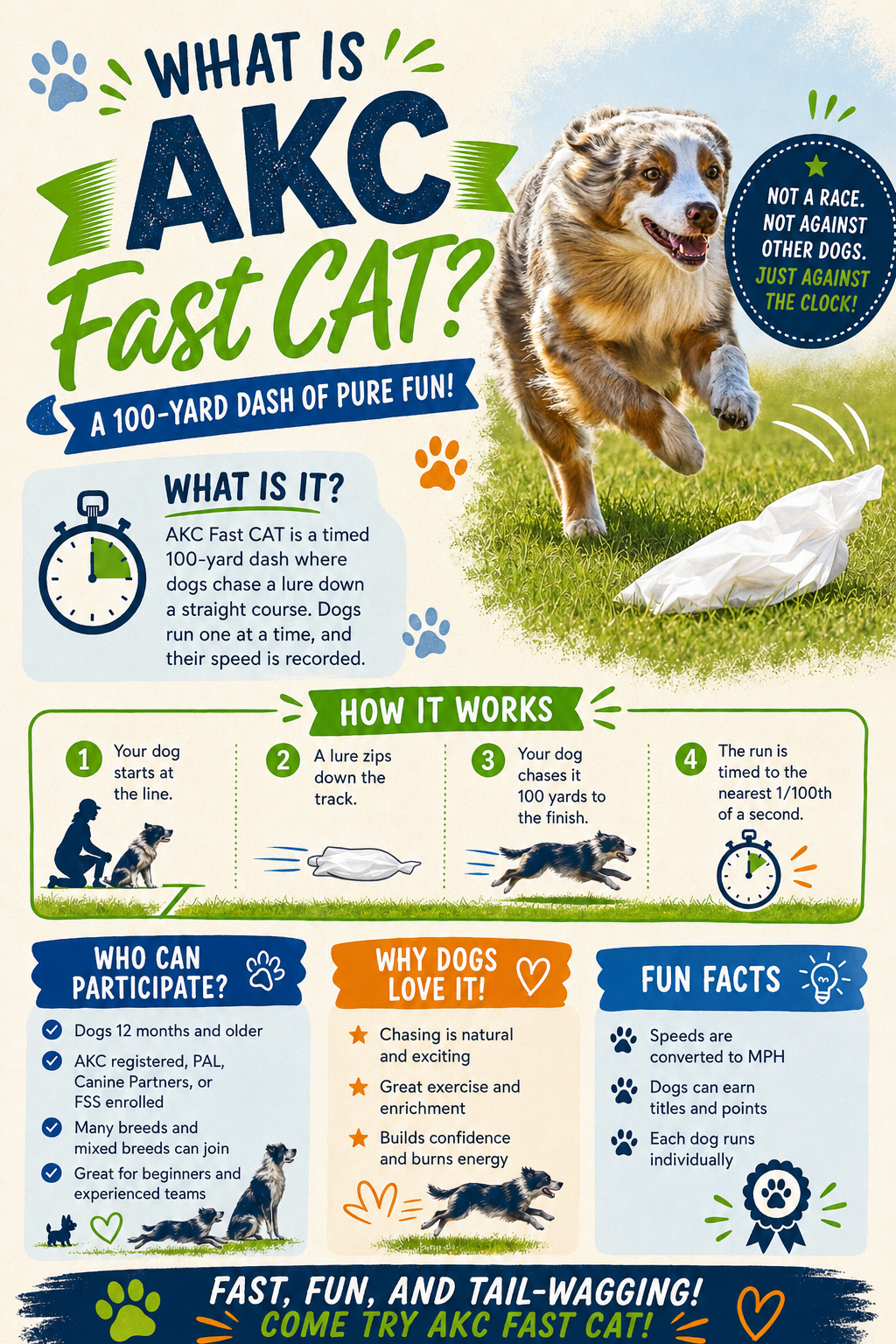 What is AKC Fast CAT? — infographic showing how the event works, who can participate, and fun facts